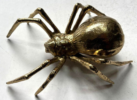 Anatomical Black-Widow Spider Sculpture (M)