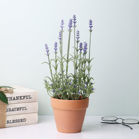 Potted Lavender Plant: Lifelike Lavender in Natural and Rustic Pot for Home Decor