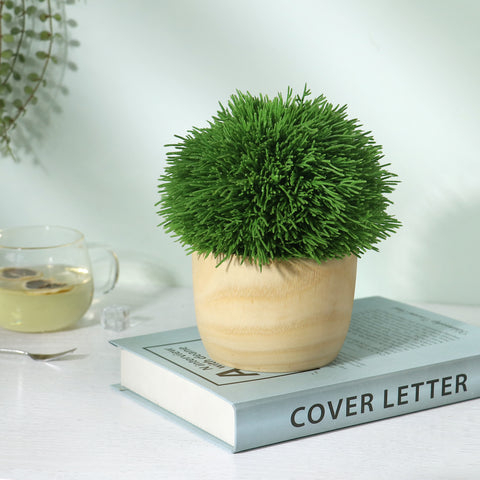 6*7''Greenery  Arrangement Décor