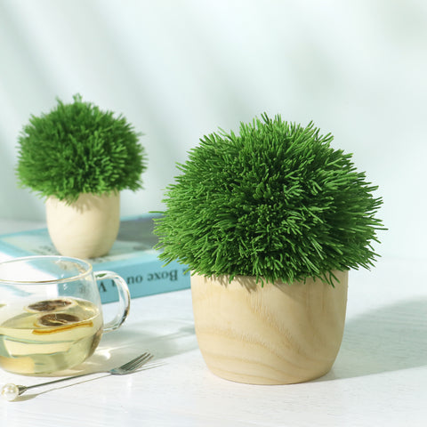 6*7''Greenery  Arrangement Décor