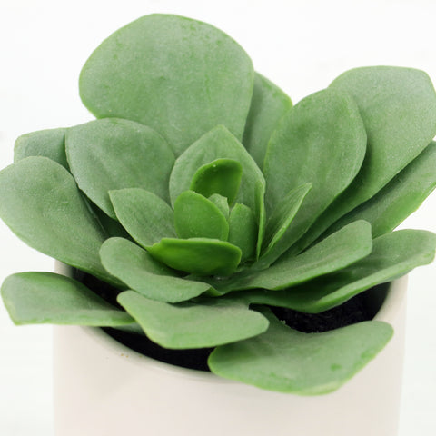 2.875*4''Greenery Succulent Arrangement Décor