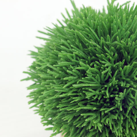 6*7''Greenery  Arrangement Décor