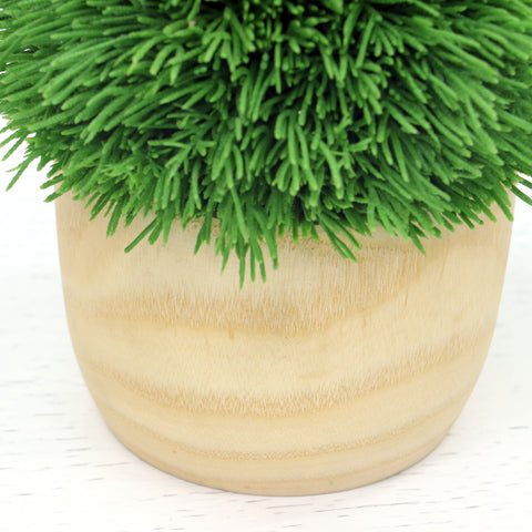 6*7''Greenery  Arrangement Décor