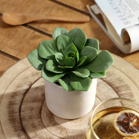 2.875*4''Greenery Succulent Arrangement Décor