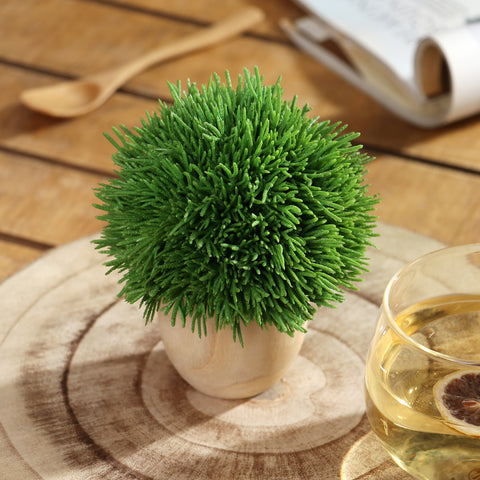 6*7''Greenery  Arrangement Décor