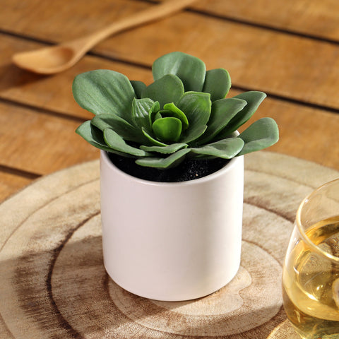 2.875*4''Greenery Succulent Arrangement Décor