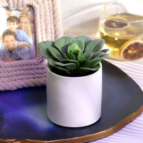 2.875*4''Greenery Succulent Arrangement Décor