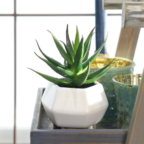 Faux Aloe Plant: Lifelike 6" Artificial Succulent for Home Decor