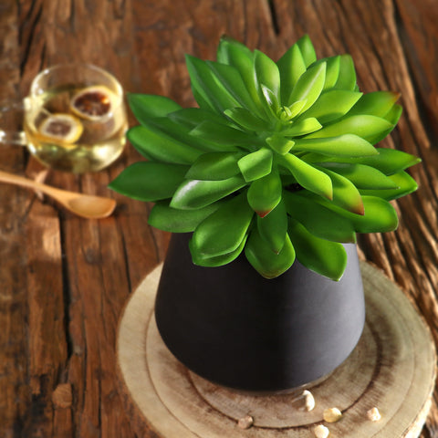 13.0*13.0‘’Greenery Table Décor