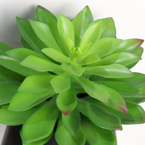 13.0*13.0‘’Greenery Table Décor