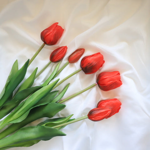 Fresh Touch Tulip Bundle-Red