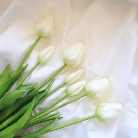 Fresh Touch Tulip Bundle-White