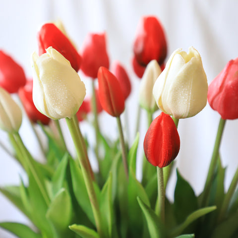 Fresh Touch Tulip Bundle-White