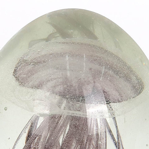 Glass Paper Weight | Glass Vase | Table Centerpiece