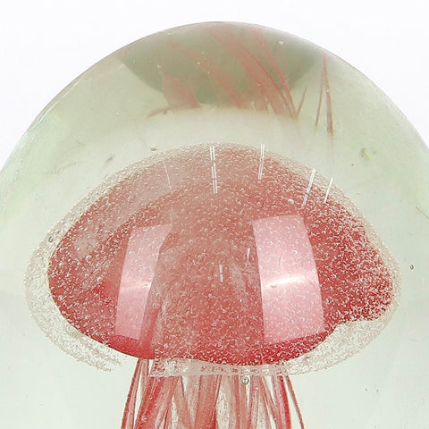 Glass Paper Weight | Glass Vase | Table Centerpiece