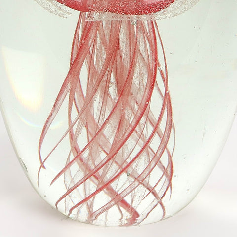Glass Paper Weight | Glass Vase | Table Centerpiece