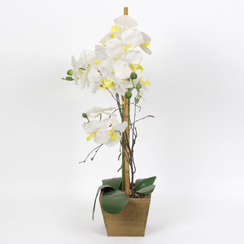 Nearly Natural Orchid Phalaenopsis Artificial Arrangement in Vase