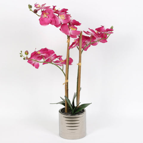 Nearly Natural Orchid Phalaenopsis Artificial Arrangement in Vase