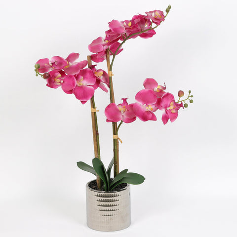 Nearly Natural Orchid Phalaenopsis Artificial Arrangement in Vase