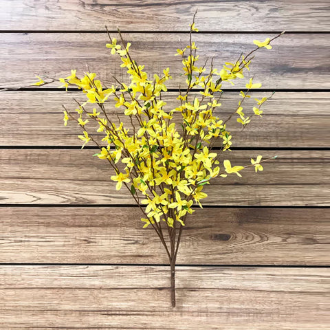 34" Forsythia Bush X 14