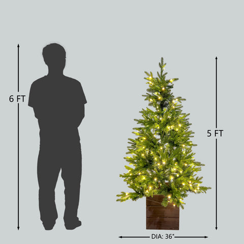 5Ft Pre-Lit Pe/Pvc Tips Porch Tree