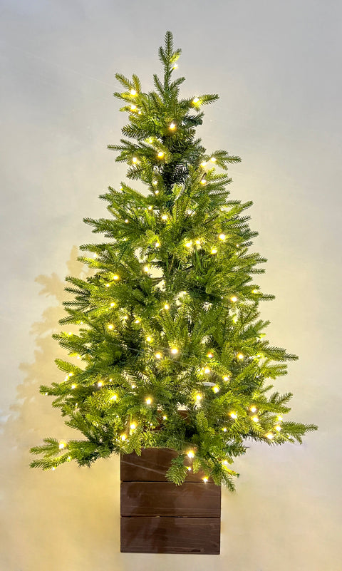 5Ft Pre-Lit Pe/Pvc Tips Porch Tree