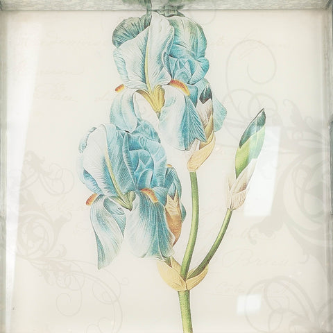 Wall Art Decoration