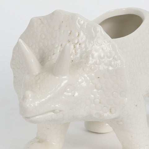 Ceramic Planter Decoration