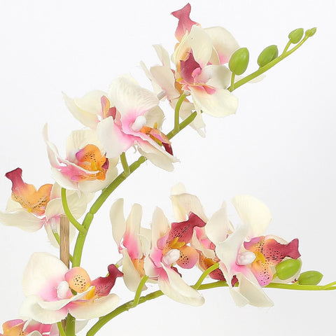 Nearly Natural Orchid Phalaenopsis Artificial Arrangement in Vase