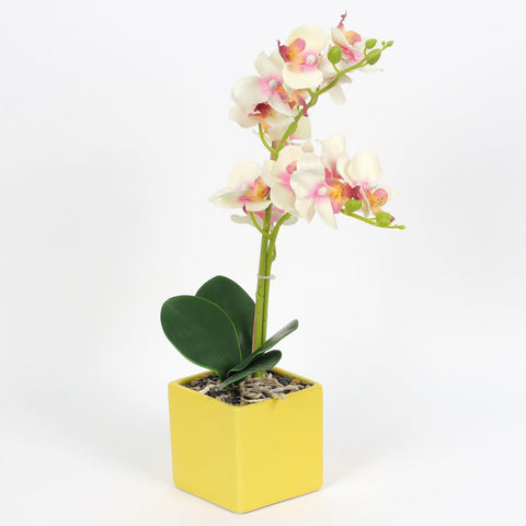 Nearly Natural Orchid Phalaenopsis Artificial Arrangement in Vase
