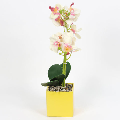 Nearly Natural Orchid Phalaenopsis Artificial Arrangement in Vase