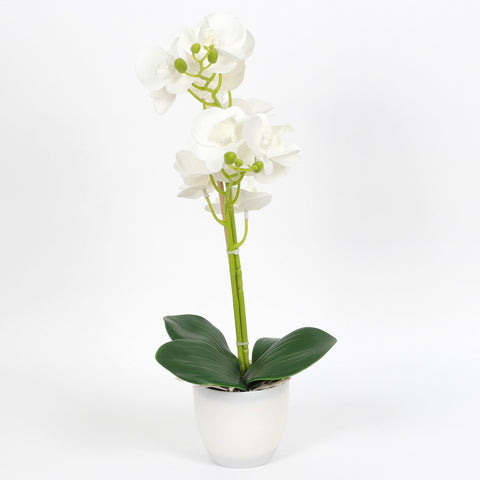 Nearly Natural Orchid Phalaenopsis Artificial Arrangement in Vase
