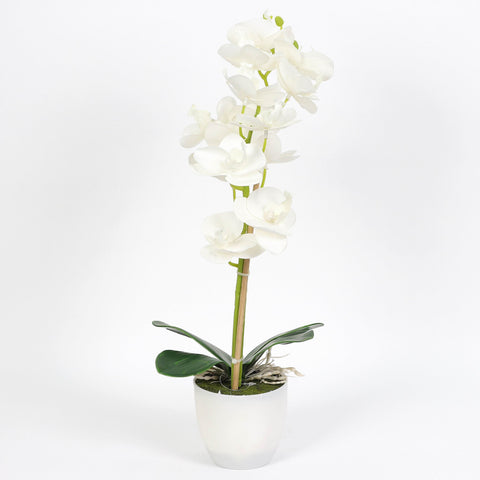 Nearly Natural Orchid Phalaenopsis Artificial Arrangement in Vase