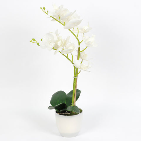 Nearly Natural Orchid Phalaenopsis Artificial Arrangement in Vase