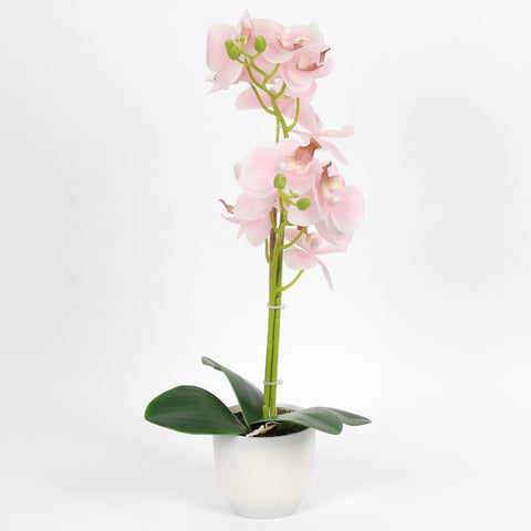 Nearly Natural Orchid Phalaenopsis Artificial Arrangement in Vase