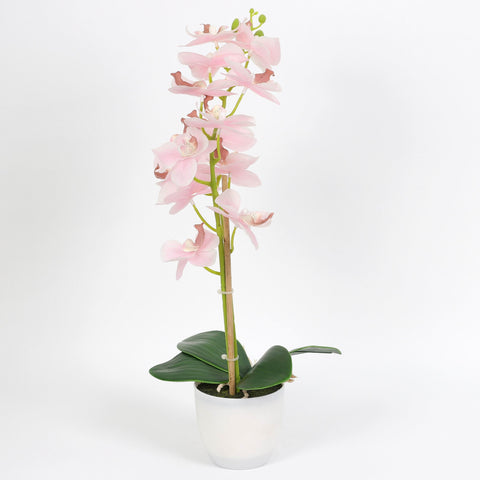 Nearly Natural Orchid Phalaenopsis Artificial Arrangement in Vase