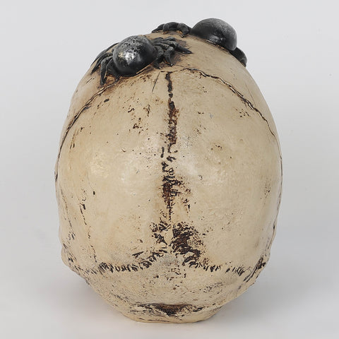 7.0*4.5*6.5''Hwn Light Up Resin Skull W/Spiders Décor