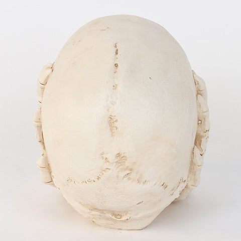 6.25*4.0*5.25''Ghost White Skull Décor W/Hands Cover Ears