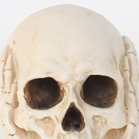 6.25*4.0*5.25''Ghost White Skull Décor W/Hands Cover Ears