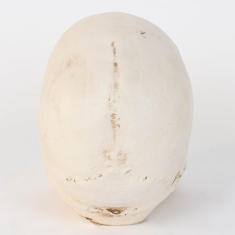 6.25*4.0*5.25''Ghost White Skull Décor W/Hands Cover Mouths