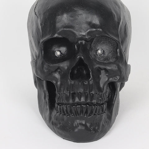 9.25*4.75*9.5'' Resin Black Skull Décor W/Crow