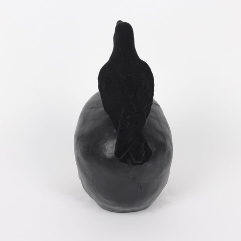 9.25*4.75*9.5'' Resin Black Skull Décor W/Crow