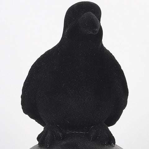 7.75*3.75*8.0''Black Resin Skull Décor W/Crow