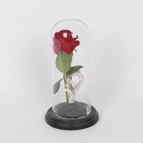 5.5*10.5'' Rose W/Transparent A Cover Décor