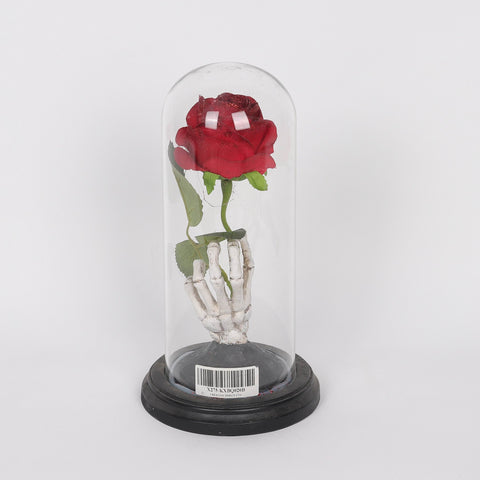 5.5*10.5'' Rose W/Transparent A Cover Décor