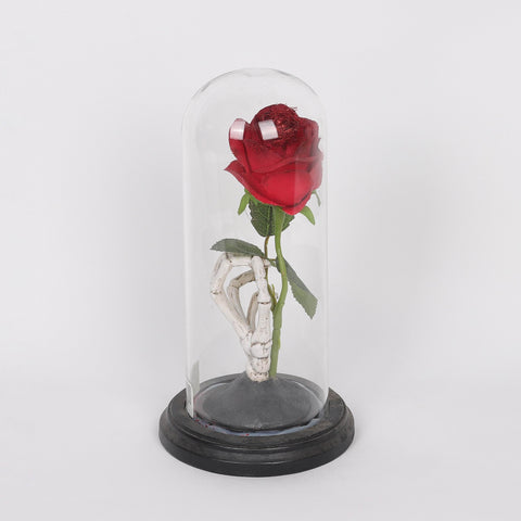 5.5*10.5'' Rose W/Transparent A Cover Décor