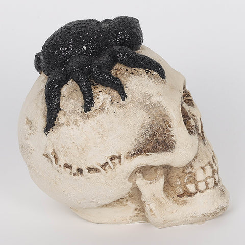 2.5*3.5*3.25''White Resin Skull W/Spider Décor