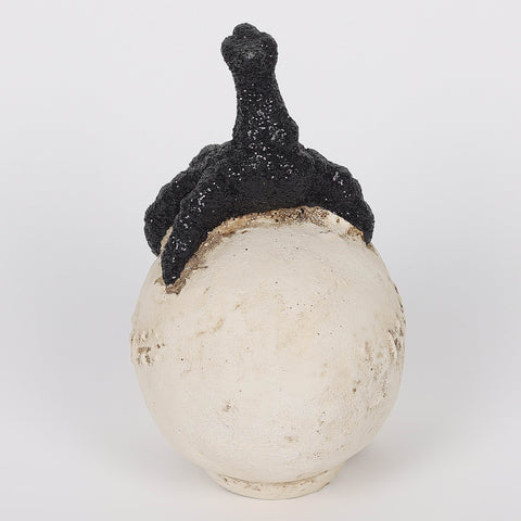 2.5*3.5*4.625''White Resin Skull W/Claw Décor