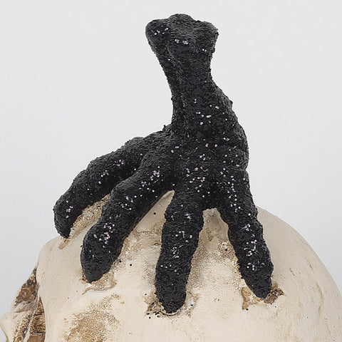 2.5*3.5*4.625''White Resin Skull W/Claw Décor
