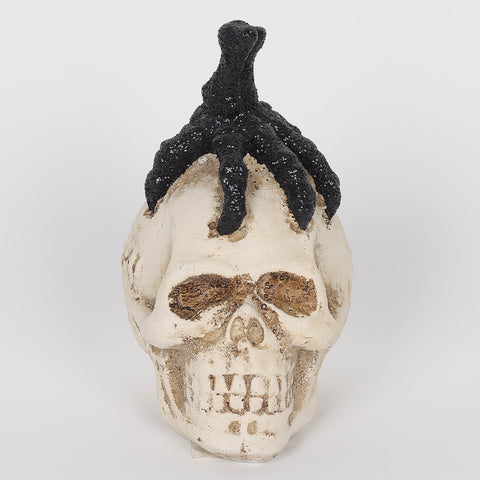 2.5*3.5*4.625''White Resin Skull W/Claw Décor